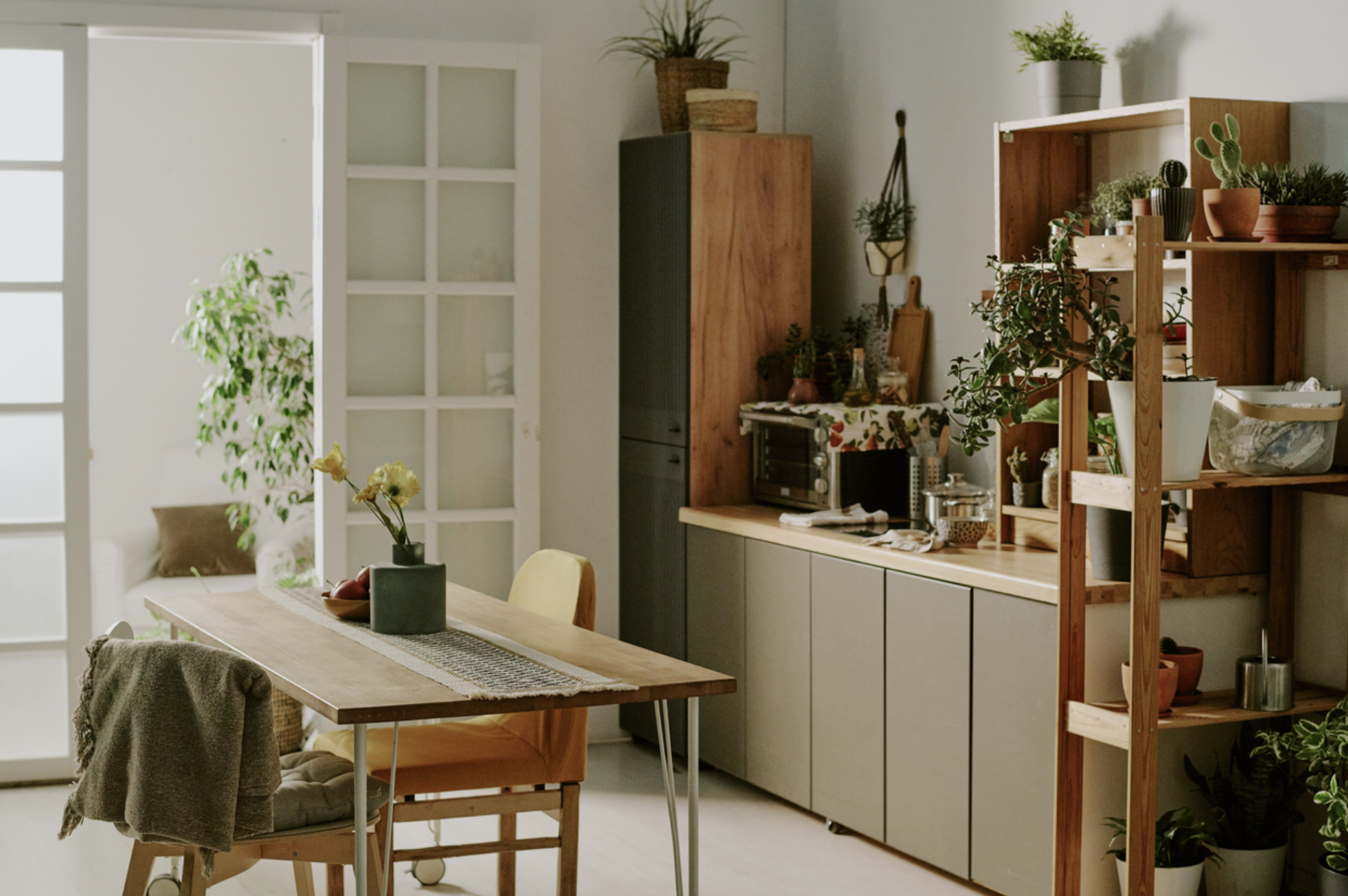 Kitchen with greenery and plants over countertops and cabinets